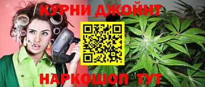 mdpv Бердск